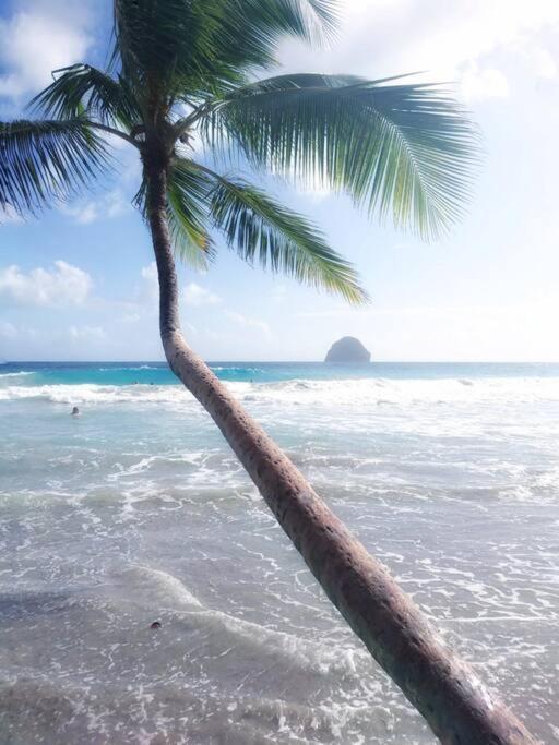 Superbe studio, à 20 mètres de la plage, accès direct Grande Plage Diamant Le Diamant Exterior foto